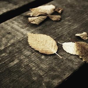 淫秽大全第八期
